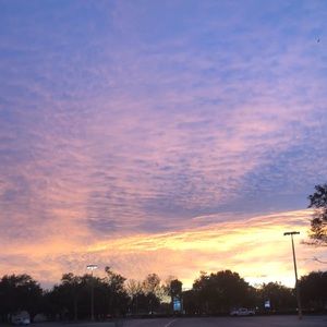 Meet your Posher, Nadia